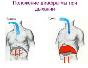 Какой тип дыхания является правильным