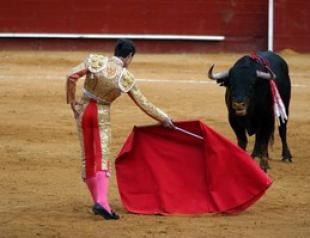 Коррида в Испании: участники, правила