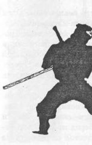 Богрод А. Ниндзюцу техника боя. Ниндзюцу и боевые искусства Как обучится исскуству ниндзя